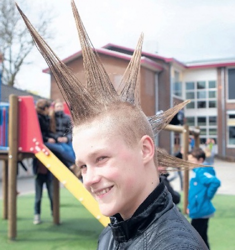 Nieuws - Mega hanenkam in het nieuws